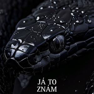 JÁ TO ZNÁM (feat. Denner & BlackTone) (Explicit)