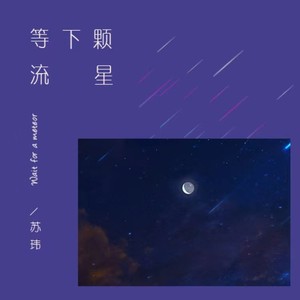 苏玮 - 等下颗流星