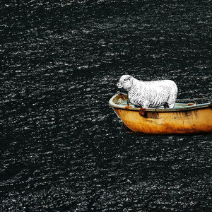 Welke Wijn Te Schenken