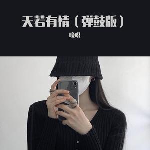 天若有情 (弹鼓版)