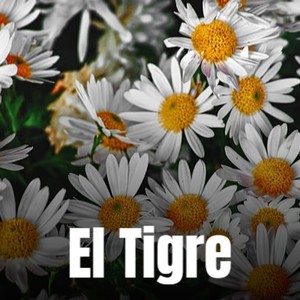 El Tigre