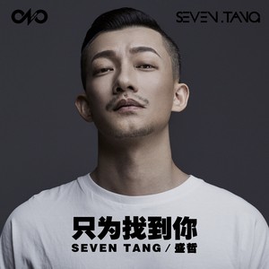 只为找到你