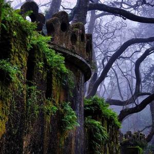 wishing well (feat. iris day) (Explicit)