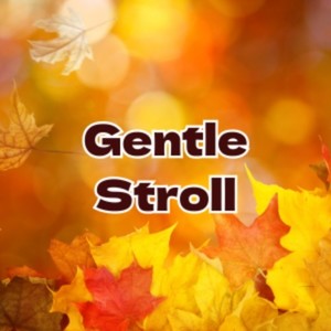 Gentle Stroll