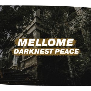 Darknest Peace