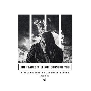 Throne (feat. Bumps Inf, Dee Black, Thre, C.Goss, Q-Flo, K-Drama, Cutright & Reflect) (Remix (Bonus Track))