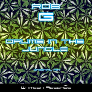 Drums In The Jungle (Original Mix)
