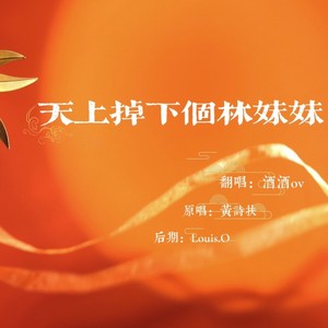 天上掉下个林妹妹