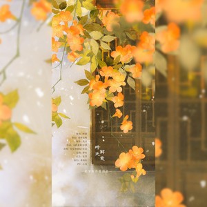 时光解意 (伴奏)