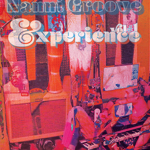 Nannigroove Experience, Vol.1 (Explicit)