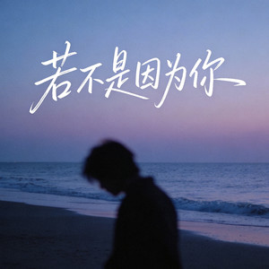 若不是因为你 (烟嗓版)