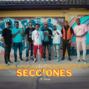 Secciones (Explicit)