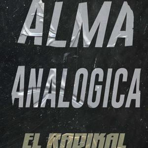 Alma Analógica