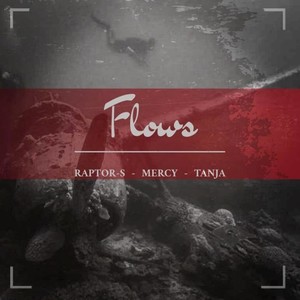 Flows (Explicit)