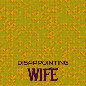 Disappointing Wife