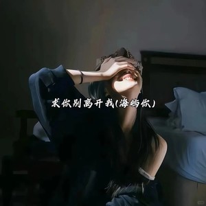 求你别离开我 (海屿你)封面