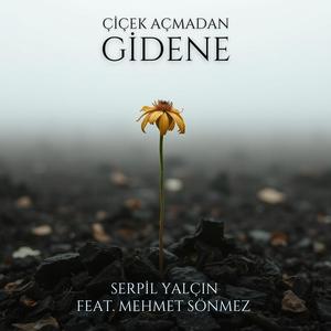 Çiçek Açmadan Gidene (feat. Mehmet Sönmez)