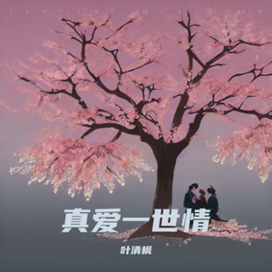 真爱一世情 (Live)