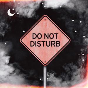 Do Not Disturb (feat. Bobby Blanco) (Explicit)
