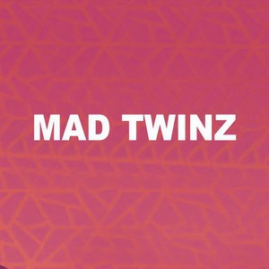 回炉重造之MADTWINZ
