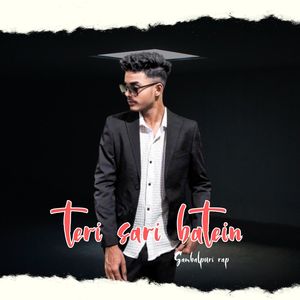 Teri Sari Batein