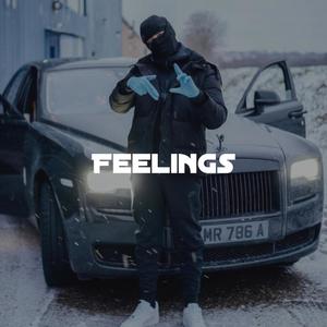 Feelings (feat. Baby Mane & Malistrip) [Explicit]