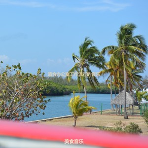 适合办公室工作纯的音乐