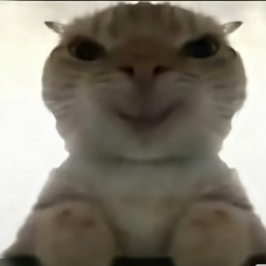 街角的晚风 (哈基米纯享)-梦想研究所