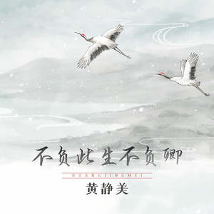 不负此生不负卿 (DJHouse版)封面