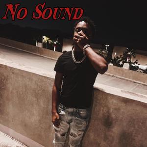 No Sound (feat. DJ ALUC) [Explicit]