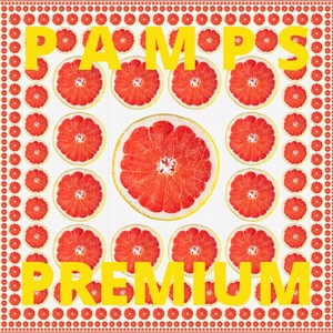 PAMPS PREMIUM (VIENS AU LOCAL) (feat. Matty B & MC Page)