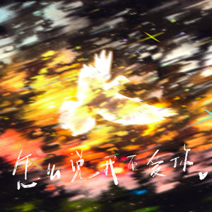 怎么说我不爱你 (DJ氛围版)