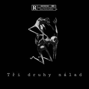 Petriz - Tři druhy nálad (prod. Lil Grippie) [Explicit]