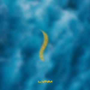 LVNM (Explicit)