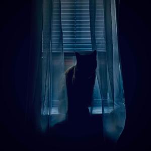 vibrance (feat. Strug) (Explicit)