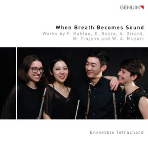 Flute Quartet in E Minor, Op. 103 - Flute Quartet in E Minor, Op. 103: II. Scherzo. Allegro assai