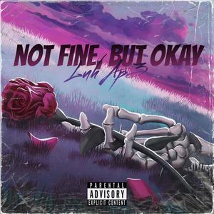 Not Fine, But Okay (Explicit)