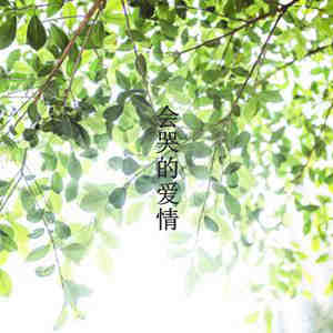 会哭的爱情