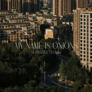 Schwizzle D.A.W.G. - No Reason During These Late Nights