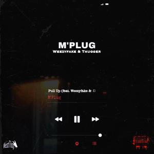 Pull Up (feat. WeezyFake & Thugger) [Explicit]