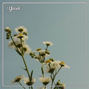 Dj Burung Puyuh Burung Pantek Dimakan Biawak (Explicit)