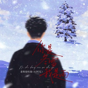 你是冬雪我是雨 (DJ阿尼)