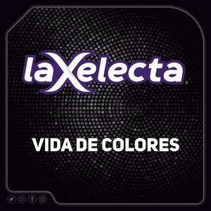 Vida De Colores