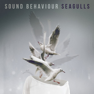 Seagulls