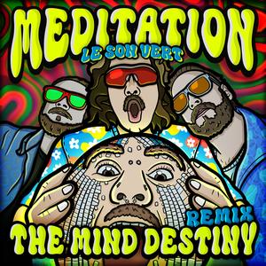 Meditation (The Mind Destiny Remix) (The Mind Destiny Remix) [Explicit]