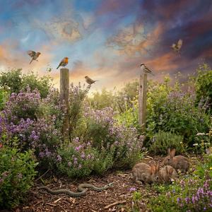 Garden of Thyme (feat. Jim & Mia)