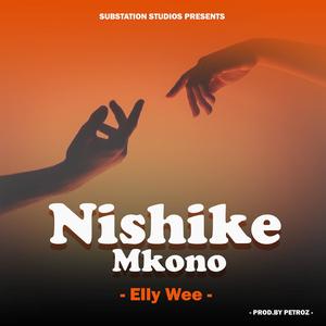 Nishike mkono