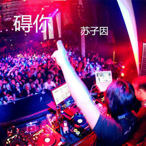 苏子因 - 备伴