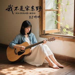 我不是宋东野 (我也没有我的董小姐吉他版)