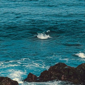 就当谁也没有来过